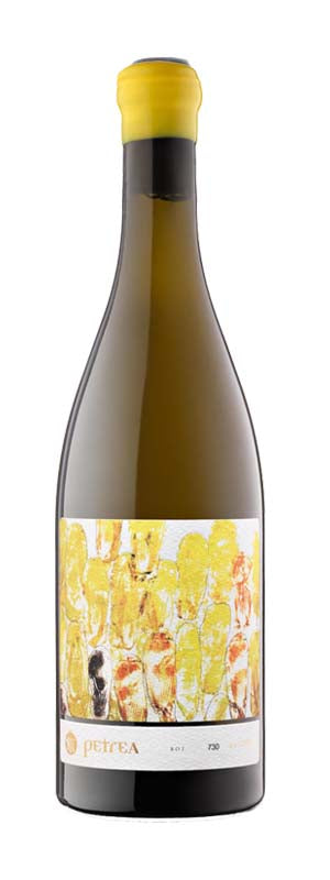 Petrea-chardonnay-mas-comtal-DO penedes-vino-blanco-ecológico